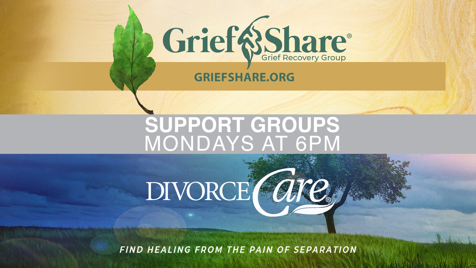 Featured image for GriefShare/DivorceCare