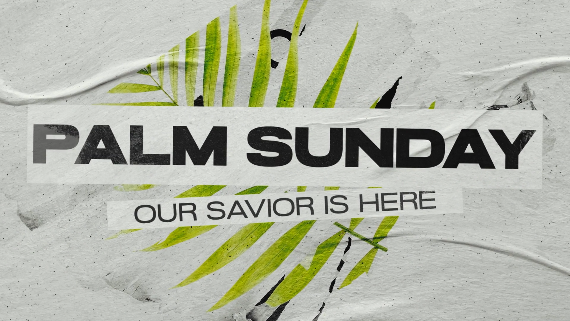 Featured image for “Palm Sunday – Matthew 21:1-11”